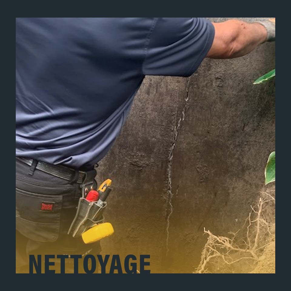 Inspection et nettoyage de drains (9)
