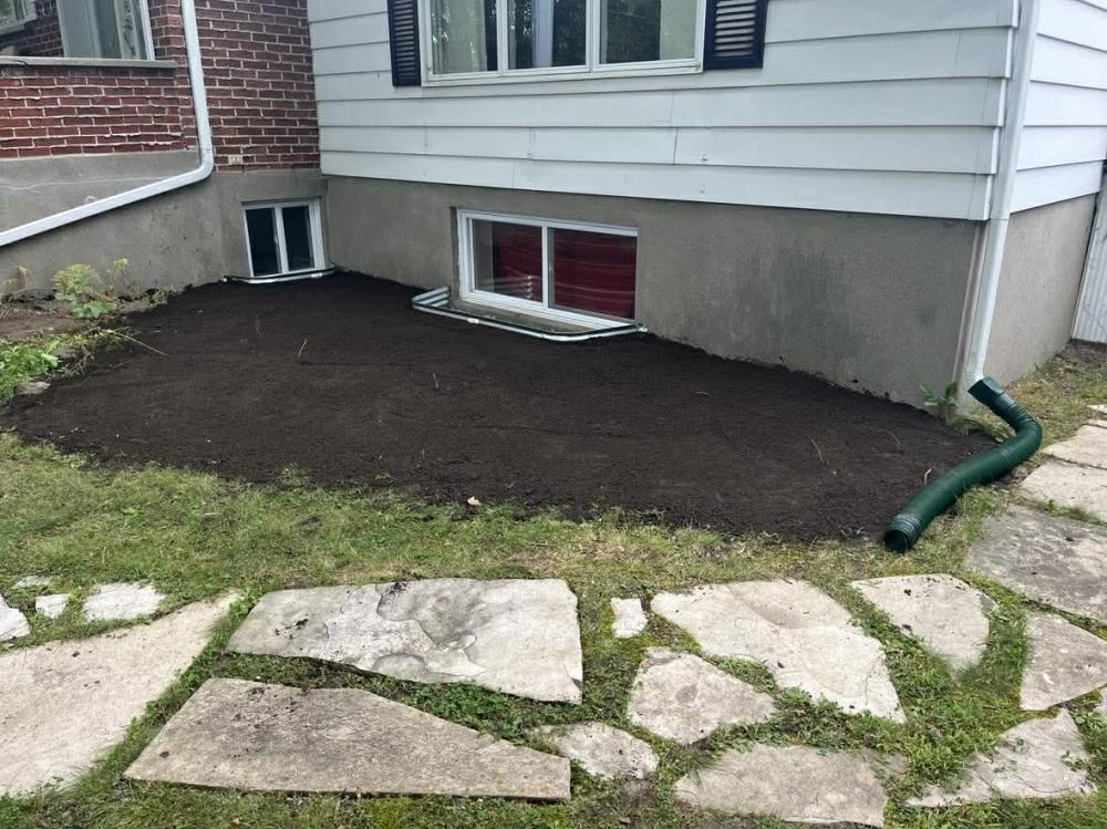 Inspection et nettoyage de drains (1)