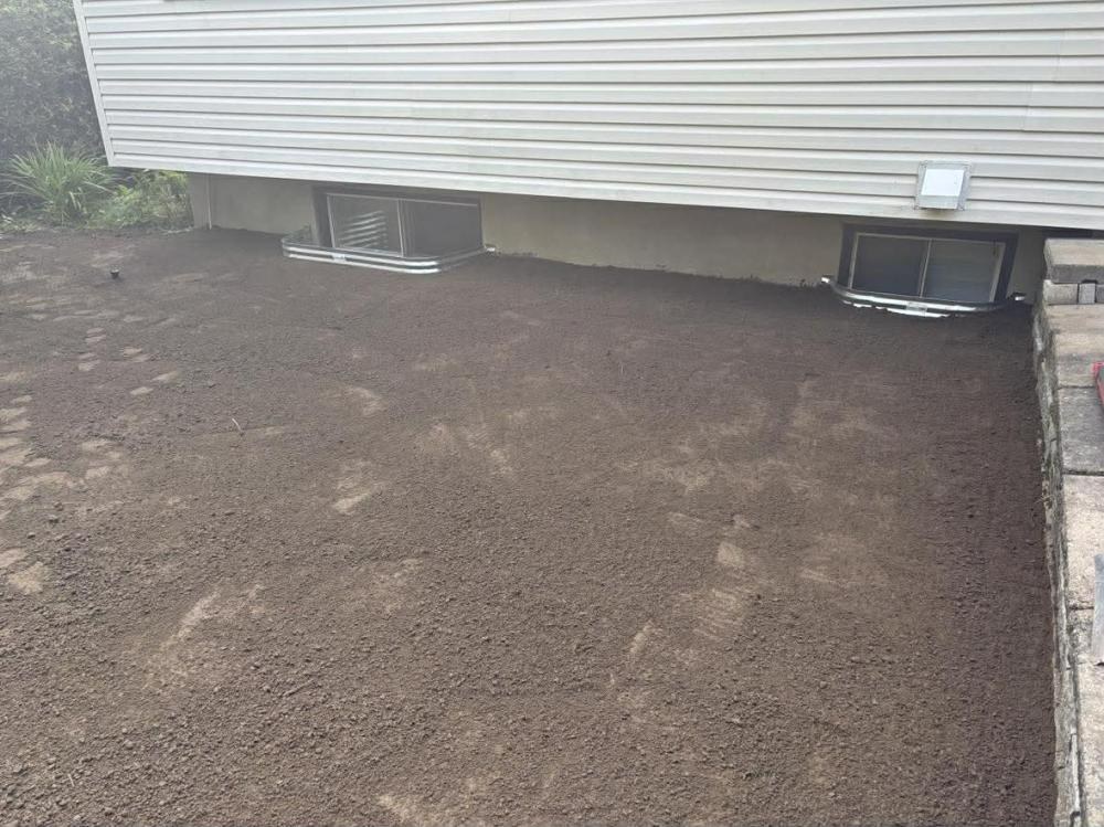 Inspection et nettoyage de drains (2)