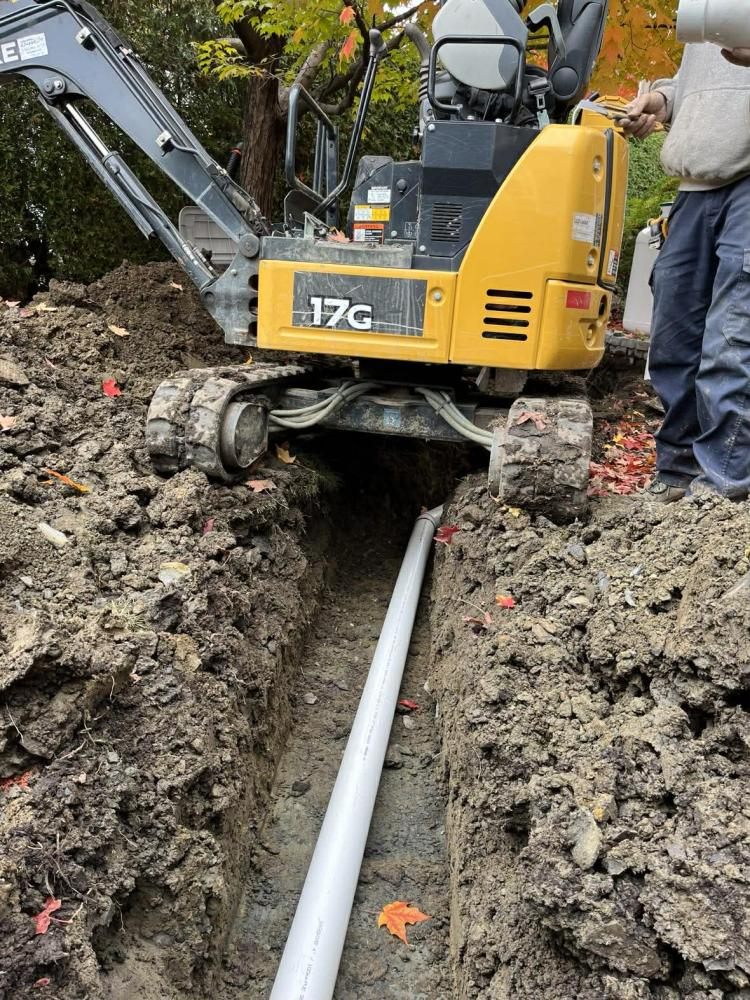 Inspection et nettoyage de drains (20)